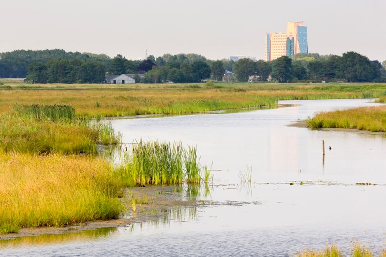 Klimaatbuffer De Onlanden bij Groningen