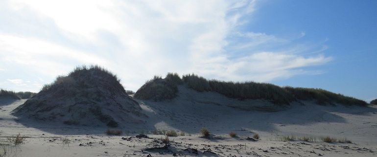 Duinen op Terschelling