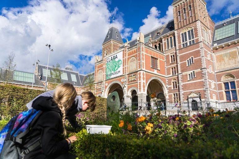 Bodemdieren zoeken bij het Rijksmuseum