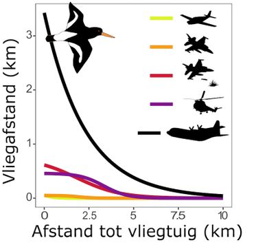 Effect van vijf verschillende vliegtuigactiviteiten op vliegafstanden van scholeksters