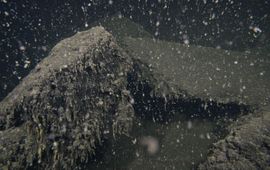 Levenloze bodem van het Grevelingenmeer op 18 meter diepte, juli, 2013