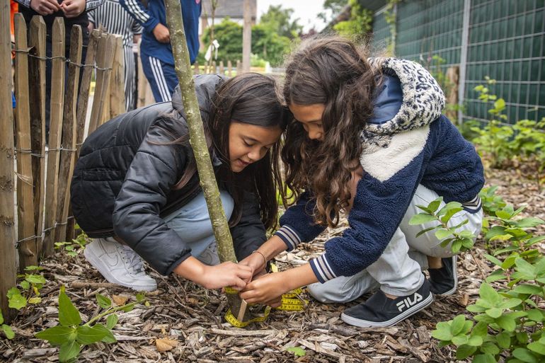 Provincie Gelderland wil inwoners betrekken bij het herstellen en vergroten van biodiversiteit