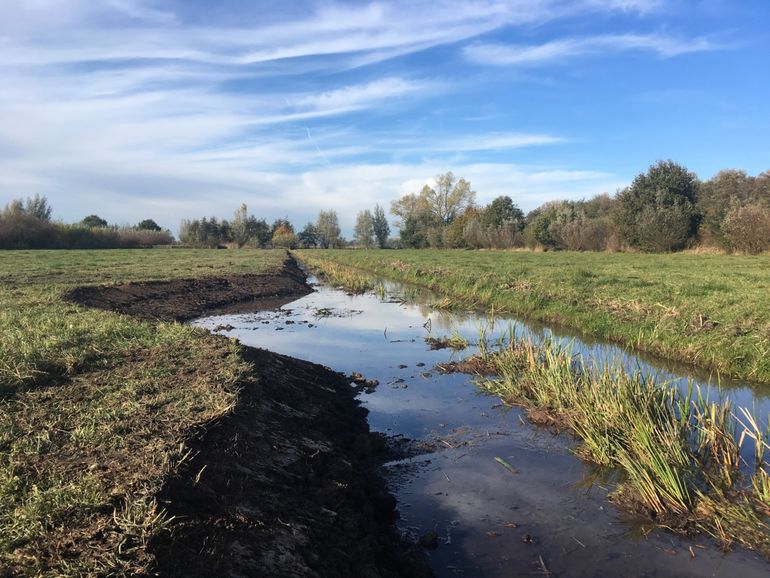 Kuil voor overwintering  en ondiepe natuurvriendelijke oevers voor de grote modderkruiper in de Zouweboezem