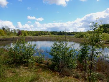 Het Kuinderbos is gevarieerd, met bos, struweel, grasland, heide en ook waterpartijen