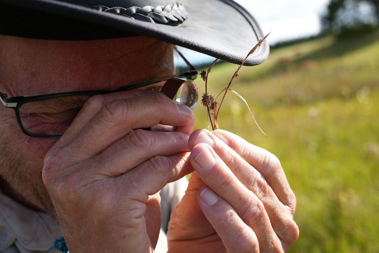 Het deskundigenteam Heuvellandschap van OBN Natuurkennis nam deel aan de tweedaagse excursie