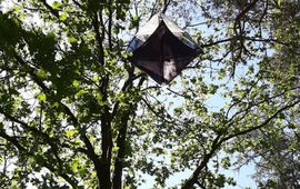 Een val hoog in de boomkroon voor het onderzoek 'Insecten in het kronendak'.