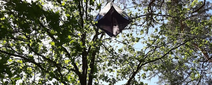 Een val hoog in de boomkroon voor het onderzoek 'Insecten in het kronendak'.