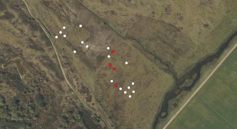 De resultaten in gebied C (De Nederlanden) in 2023 (jaarrond runderbegrazing)