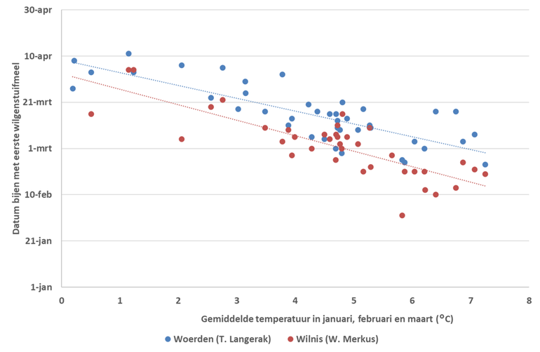 Relatie tussen het moment waarop honingbijen voor het eerst met wilgenstuifmeel in de kast komen en de gemiddelde temperatuur in januari tot en met maart