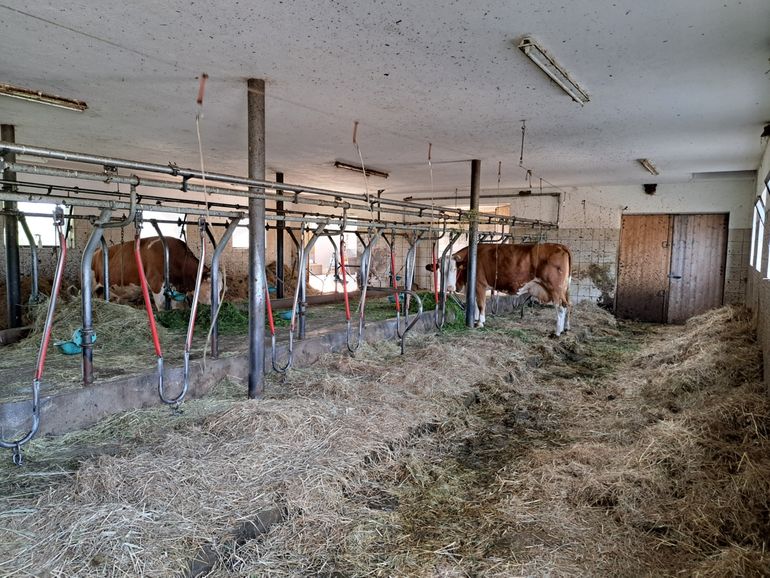 Het strooisel afkomstig van het laagveen (streuwiesen) wordt niet gebruikt als veevoer maar als stalstrooisel. De mest eindigt vervolgens weer op de hoger gelegen kruidenrijke graslanden