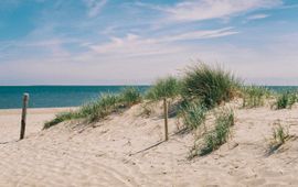 Gemeente Texel Texelse strand