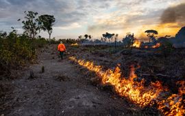 Bosbranden Cantão State Park, Brazilië