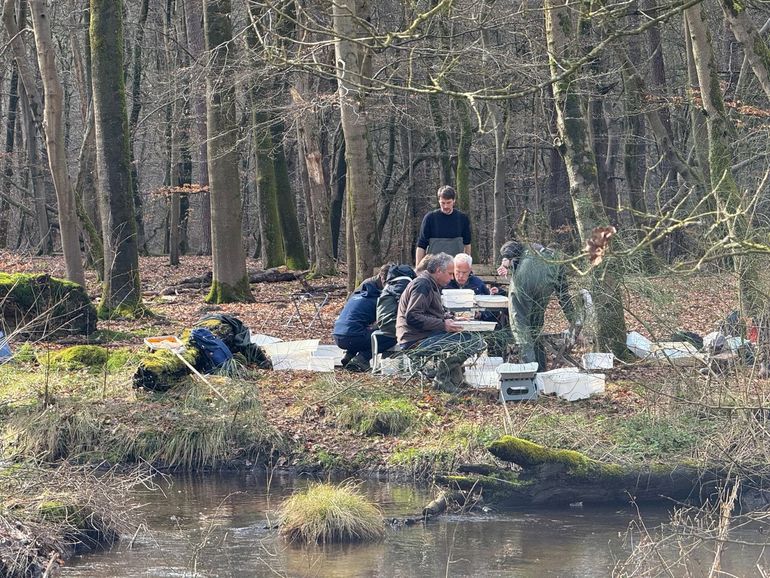 Het team van onderzoekers en ecologen aan het werk langs de waterkant