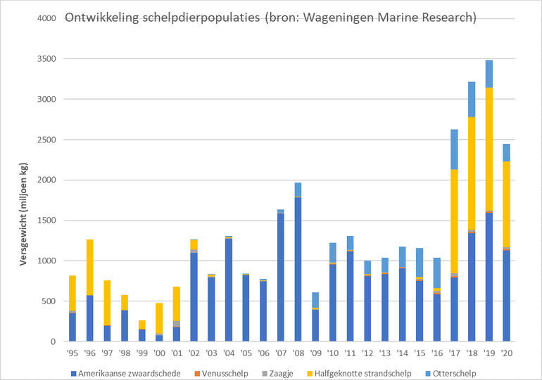 Ontwikkeling populaties Amerikaanse zwaardschede, venusschelp, zaagje, halfgeknotte strandschelp en otterschelp