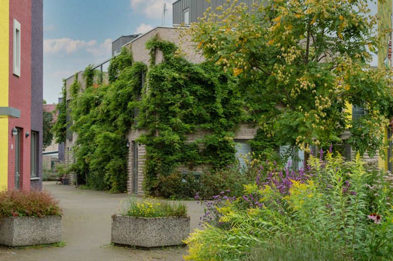 Groen in de stad