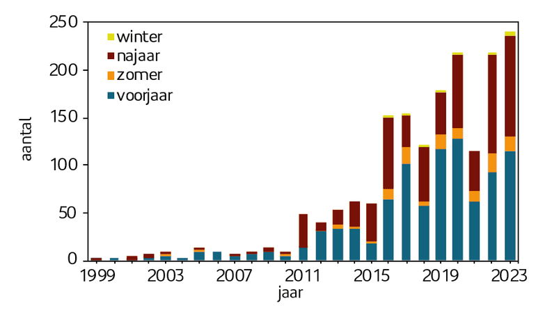 Figuur 2. Aantal steppekiekendieven per jaar in 1999-2023, verdeeld naar seizoen