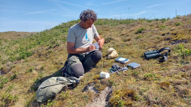 Frank Majoor van Sovon Vogelonderzoek Nederland doet onderzoek naar de tapuit in de Noordduinen bij Den Helder
