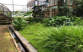 Binnentuin Lumengebouw Wageningen University & Research