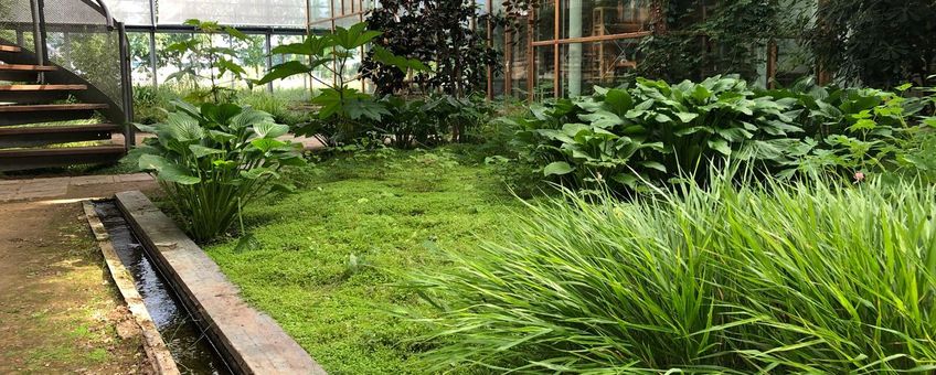 Binnentuin Lumengebouw Wageningen University & Research