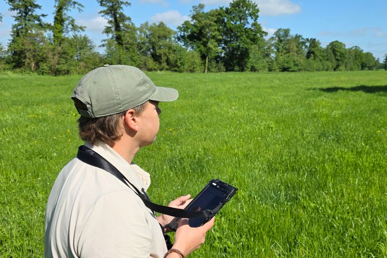 Broedvogelmonitoring in het coulisselandschap