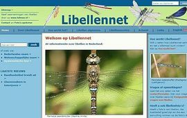 libellennet screen 1