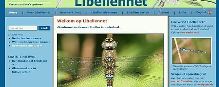 libellennet screen 1