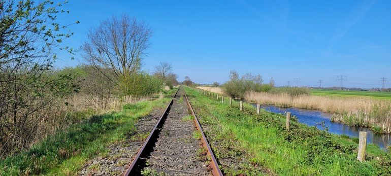 Habitat van de levendbarende hagedis in de EVZ