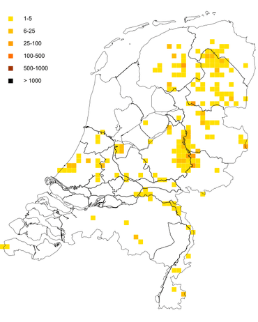 Aantal ingevulde nestkaarten van Ooievaars per 5 x 5 km2 in het jaar 2024