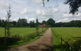 Beplanting langs oprijlaan in Barlo gemeente Aalten