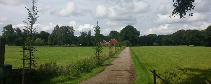 Beplanting langs oprijlaan in Barlo gemeente Aalten