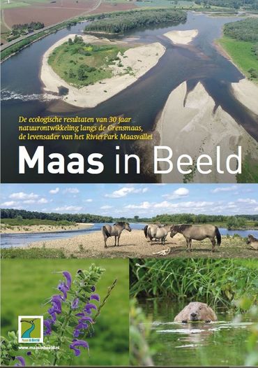Cover rapport Maas in Beeld (pdf; 7,9 MB)