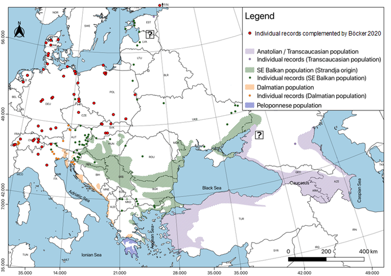 Waarnemingen van de goudjakhals in Europa