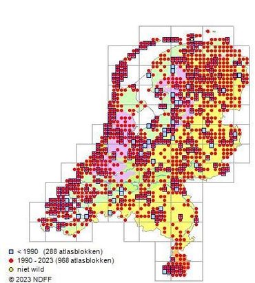 Verspreidingskaart Zwartwordende wasplaat