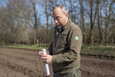 Ruben Kluit bekijkt jonge boomaanplant