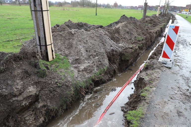 Wegwerkzaamheden naast bomen