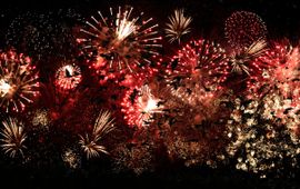 Pexel/bewerking Bart Hoekstra Fireworks and birds