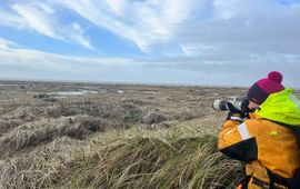 Zeehonden fotograferen op Waddeneiland Griend (eenmalig exclusief WMR)