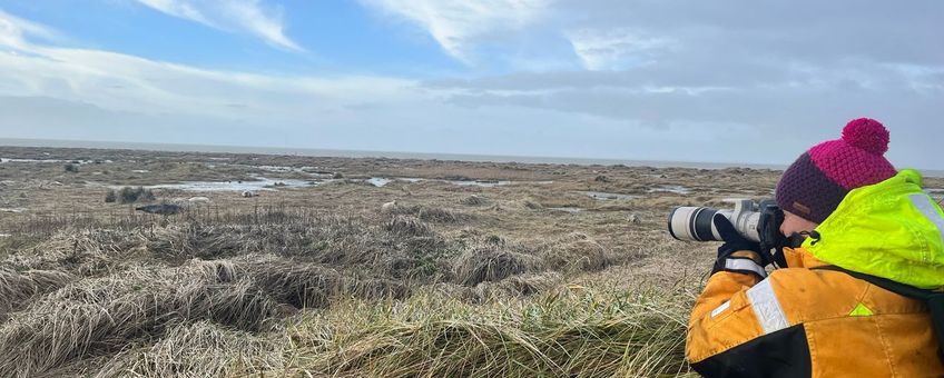 Zeehonden fotograferen op Waddeneiland Griend (eenmalig exclusief WMR)