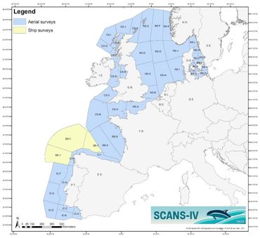 Het SCANS-IV onderzoeksgebied met indeling in deelgebieden