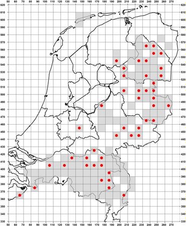 Verspreiding van Drijvende waterweegbree in Nederland in 10x10-kilometerhokken. Van de hokken met een rode stip is niet bekend of de soort er nog voorkomt