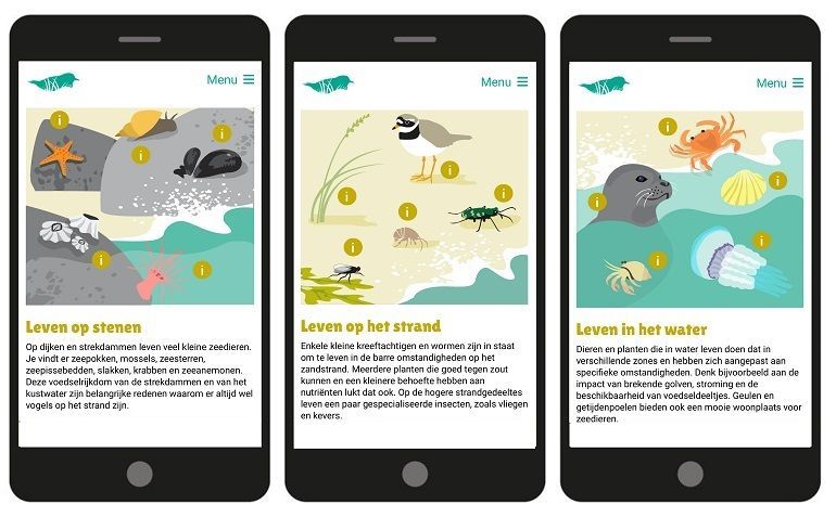 Het leven op en nabij het strand ontdekken met de Groene Strand-webapp