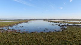 Plasdras in het Land van Altena.