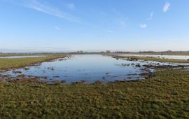 Plasdras in het Land van Altena.