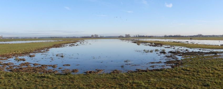 Plasdras in het Land van Altena.