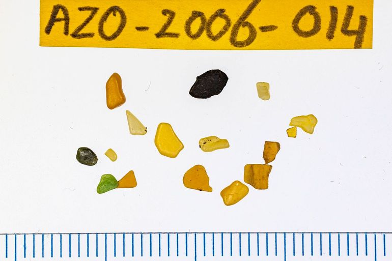 Voorbeeld van plastics in de maaginhoud van een pijlstormvogel