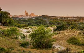 Ingrid Bertens Naitonaal Park Hollandse Duinen