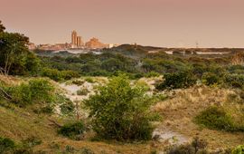 Naitonaal Park Hollandse Duinen