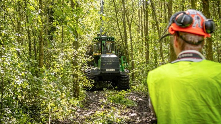 Om de bodem zo min mogelijk te beschadigen mag het materiaal alleen over de ‘dunningspaden’ rijden