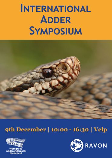 Flyer International Adder Symposium 2017