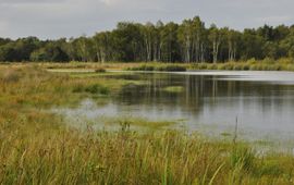 Margreet Zwols Ven